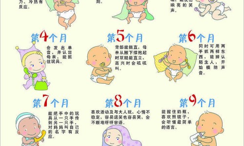红色有营养的餐桌食物有哪些-红色有营养的餐桌食物网 - 红色的食材有哪些,红色的食材有哪些